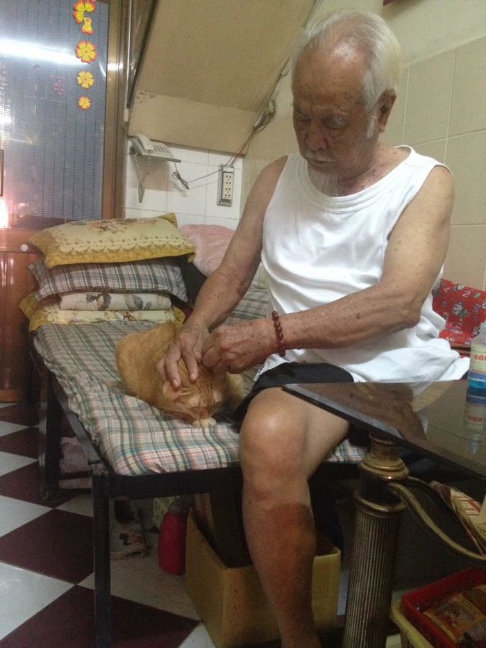 
Bí Bo từ một chú mèo hoang trở thành niềm vui cho ông nội suốt 10 năm qua