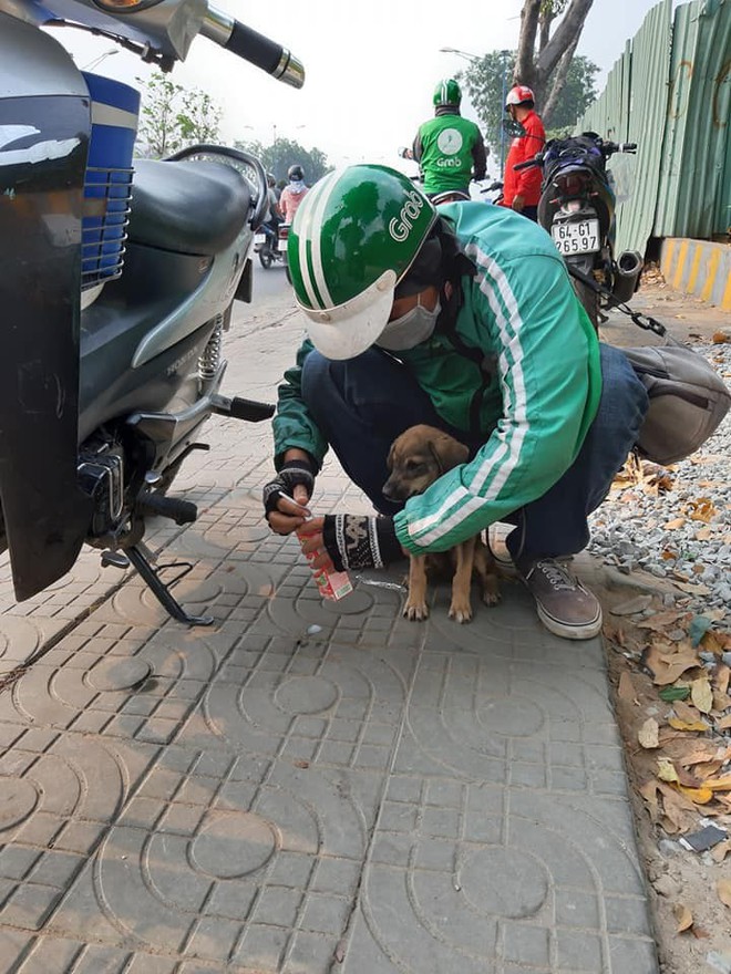 Câu chuyện dễ thương: Chú cún gầy trơ xương nằm bơ vơ bên đường và hành động ấm áp của anh tài xế xe ôm - Ảnh 3.