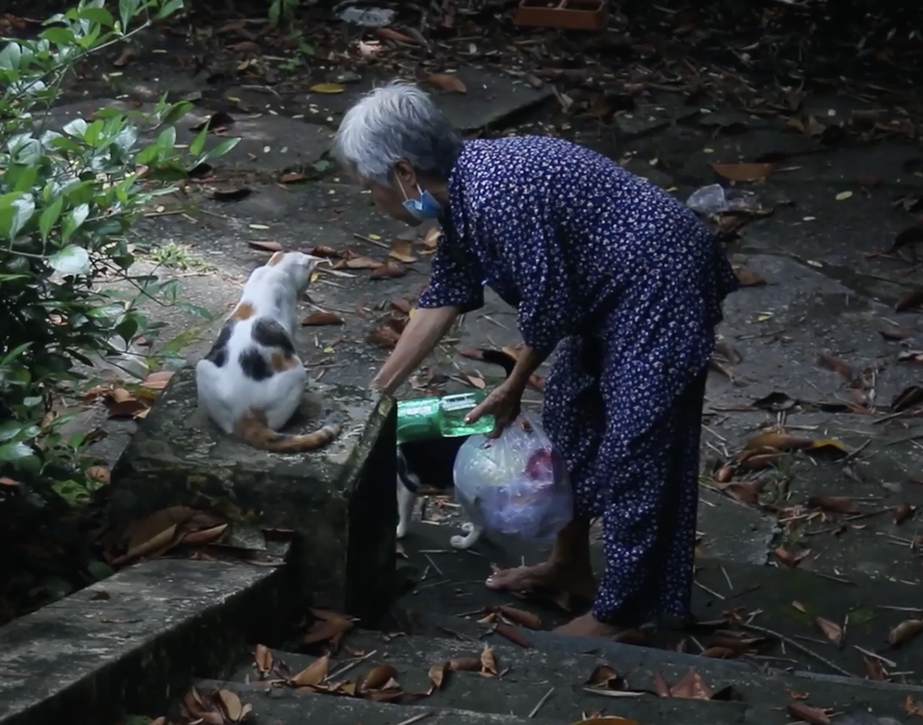 Cảm phục tấm lòng bà cụ U70 cưu mang động vật hoang trước cổng Thảo Cầm viên ảnh 2