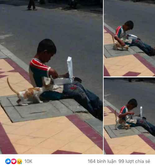 Cậu bé lem luốc ngồi bệt trên vỉa hè giữa trời nắng, tay bốc thức ăn nhưng lại có hành động cực đặc biệt với chú mèo lạ khiến bao người xúc động-1