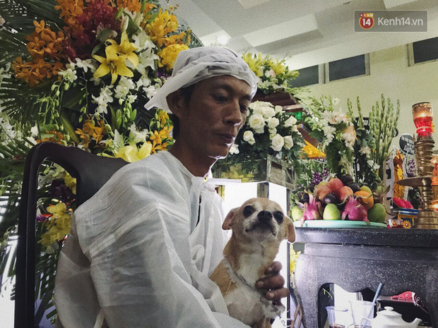 Chú chó Lucky được gia đình buộc tang trắng, quấn quýt bên linh cữu cố nghệ sĩ Lê Bình - Ảnh 1.