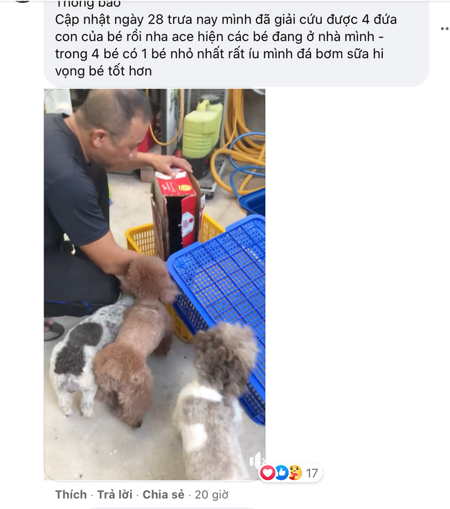 Dân mạng kêu gọi cứu trợ chú chó cái bị liệt hai chân lết đi kiếm ăn dưới một chung cư cao cấp ở Sài Gòn - Ảnh 4.